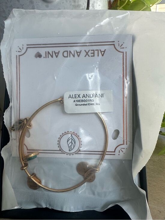Alex and Ani Jewelry - Alex & Ani Grounded Bracelet (New)